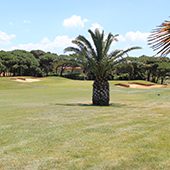 Quinta da Marinha 12th